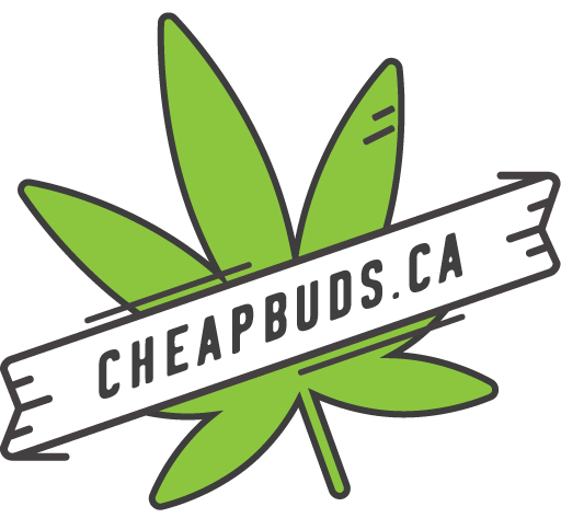 Cheap Buds